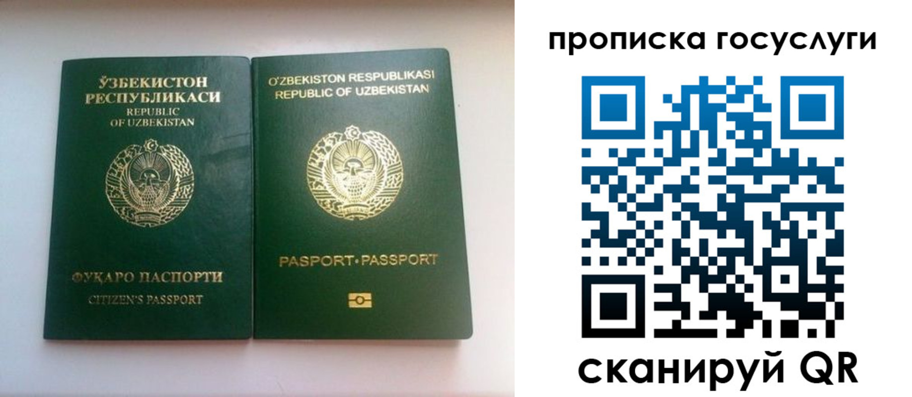 прописка для школы в Химках